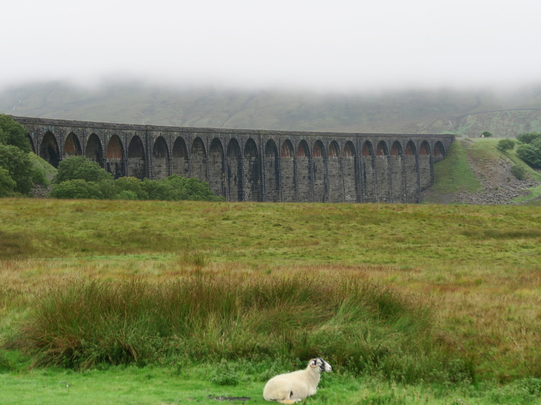 The Station Inn主图