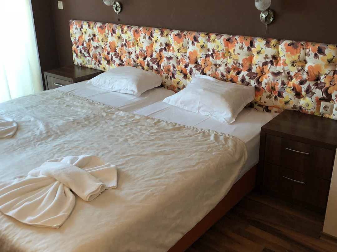 Family Hotel Zvezda主图