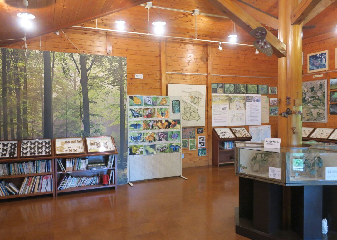 Village of Butterfly Park-岚山町必去景点