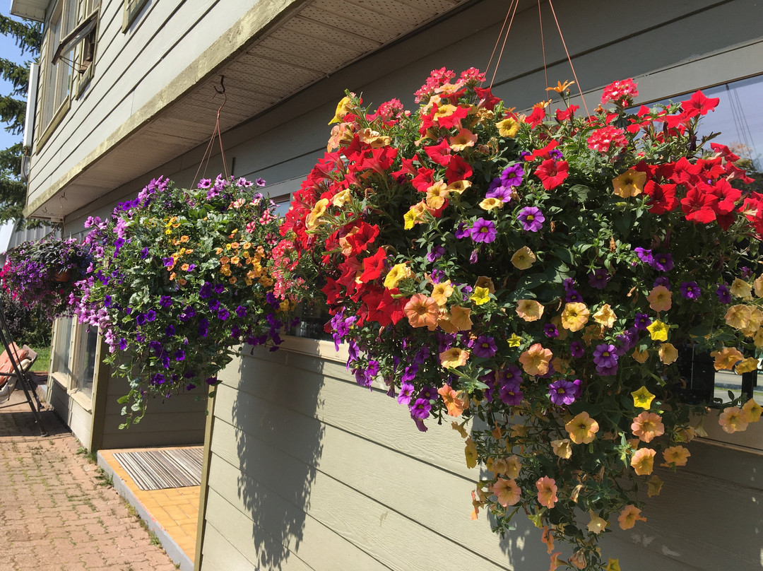 Powder Mountain Lodge主图