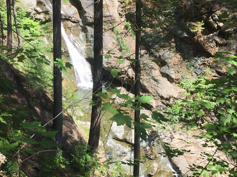 Evelyn Falls Trail-Anglemont必去景点