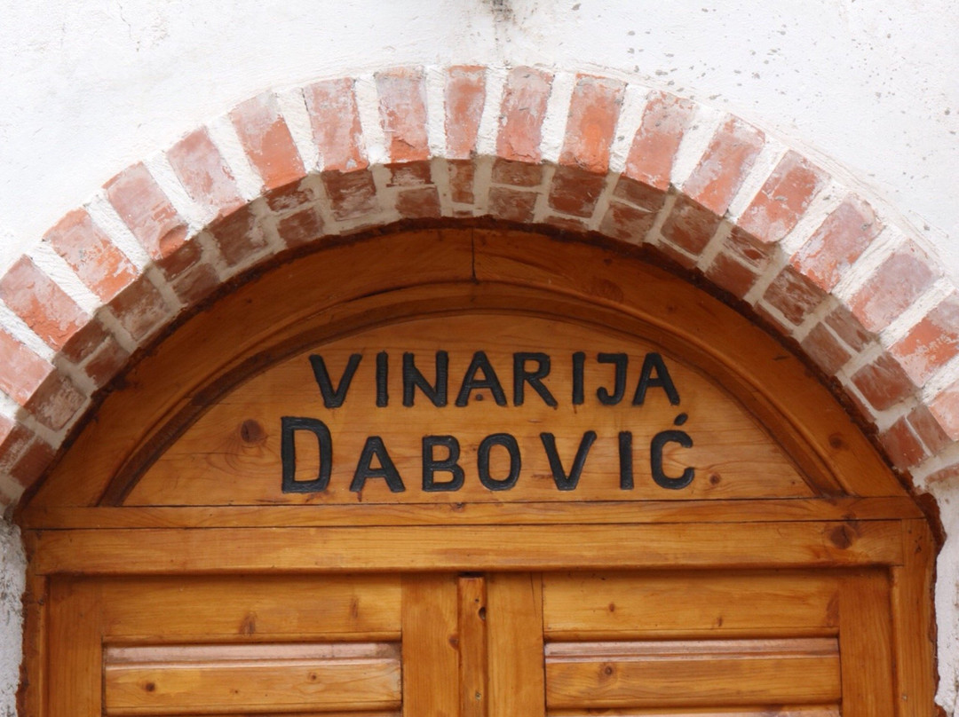 Rozaje Municipality餐馆和美食-Vinarija Dabovic
