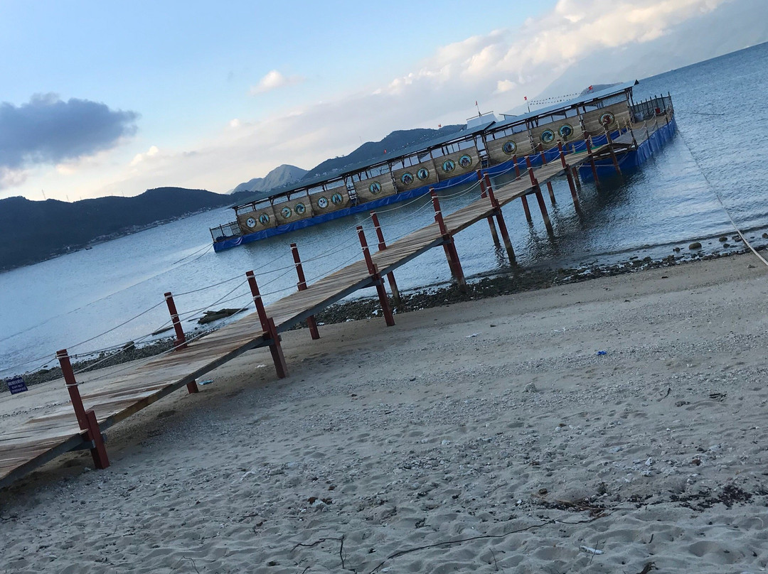 Seals Show-芽庄必去景点