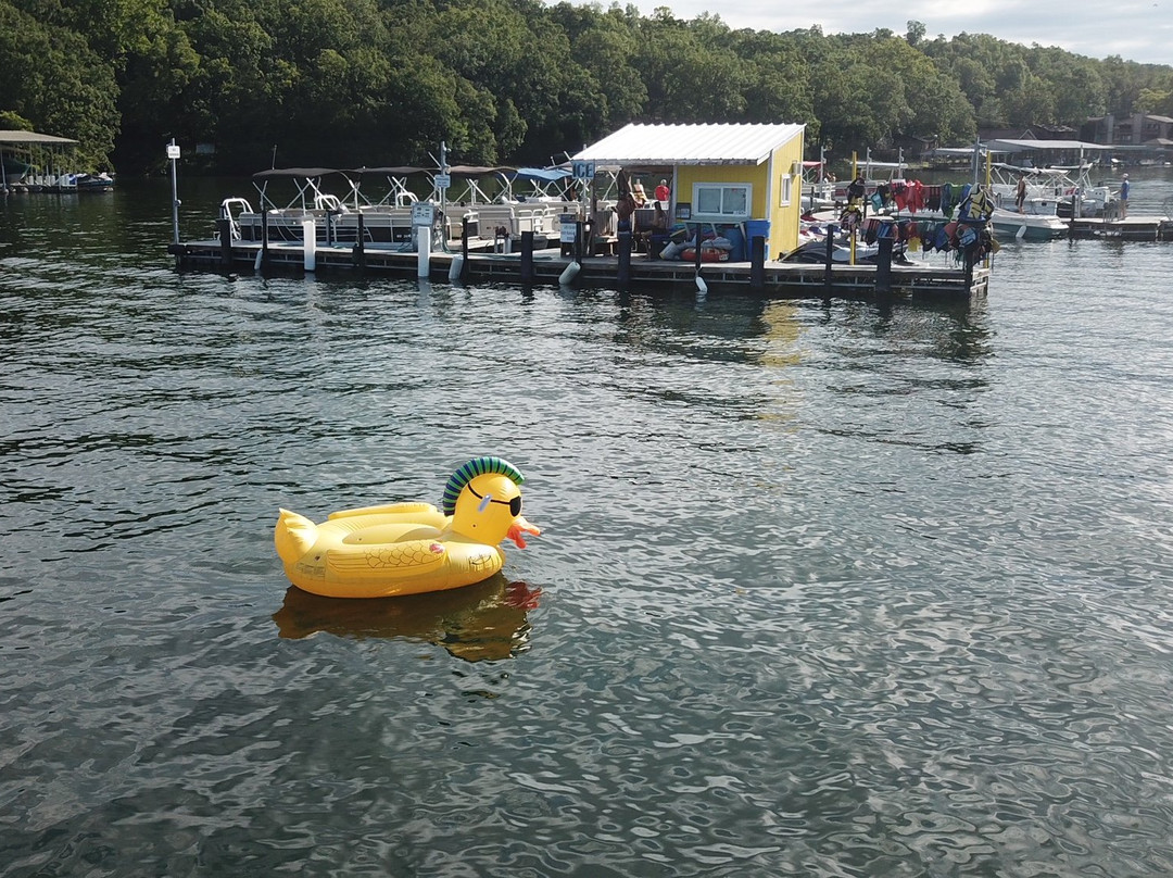 Dirty Duck Boat Rental At Lake Of The Ozarks, Missouri景点图片