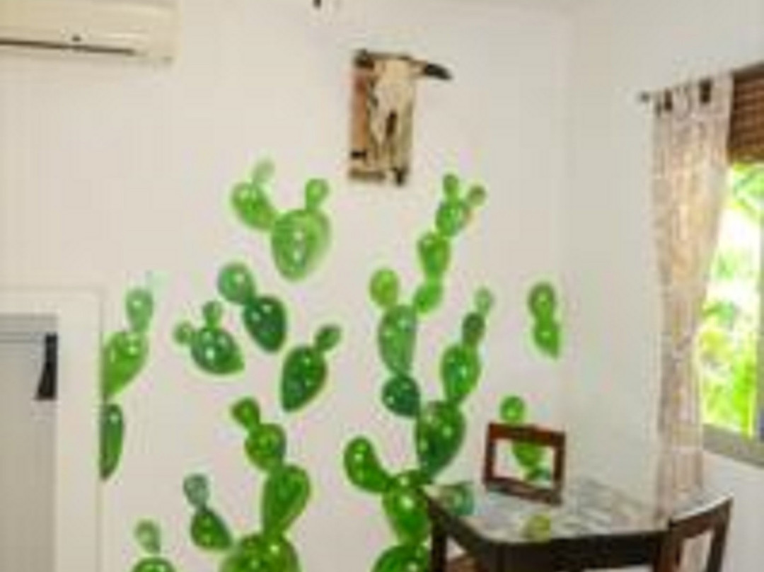 Villa Tortugas主图