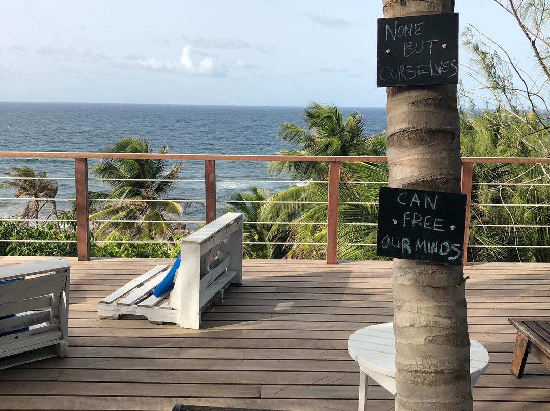 ECO Lifestyle & Lodge主图