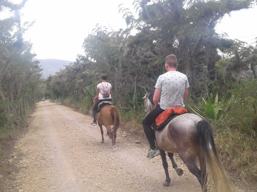 Janto Eco-turismo Equino Cabalgatas y Caminatas-莱瓦镇必去景点