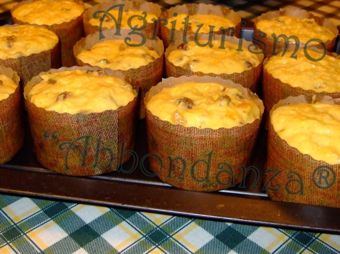 Abbondanza Agriturismo主图