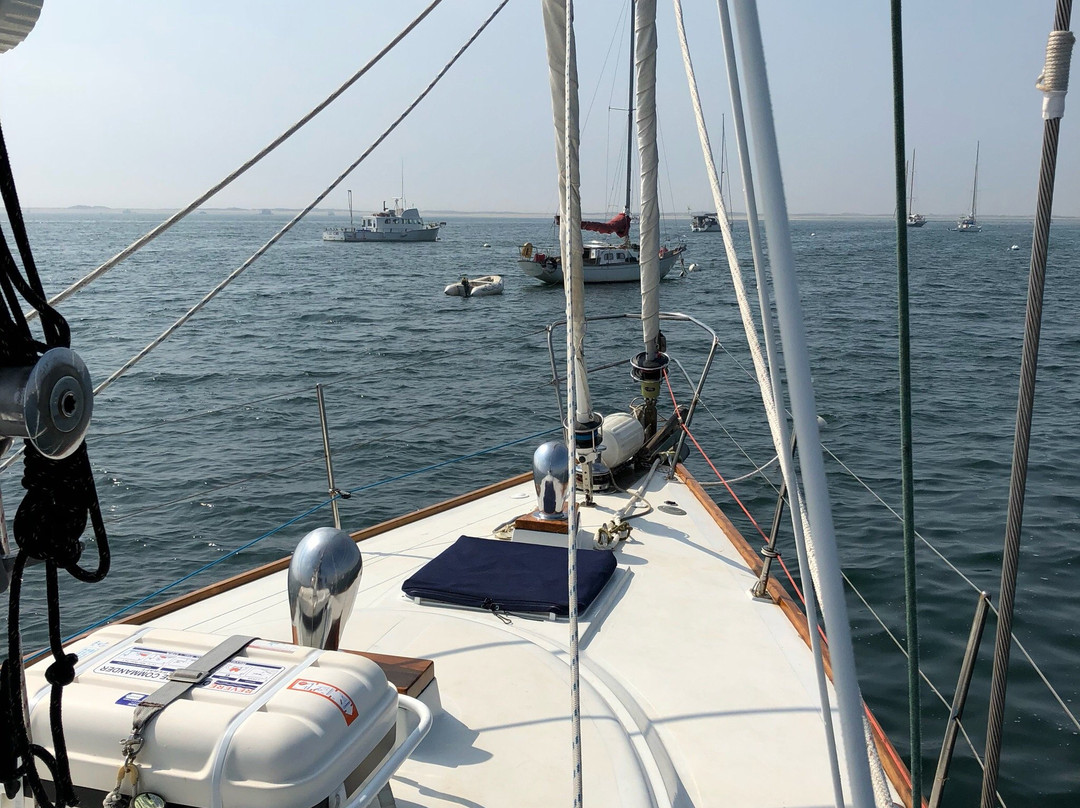 Moment Sailing Adventures-普罗温斯敦必去景点