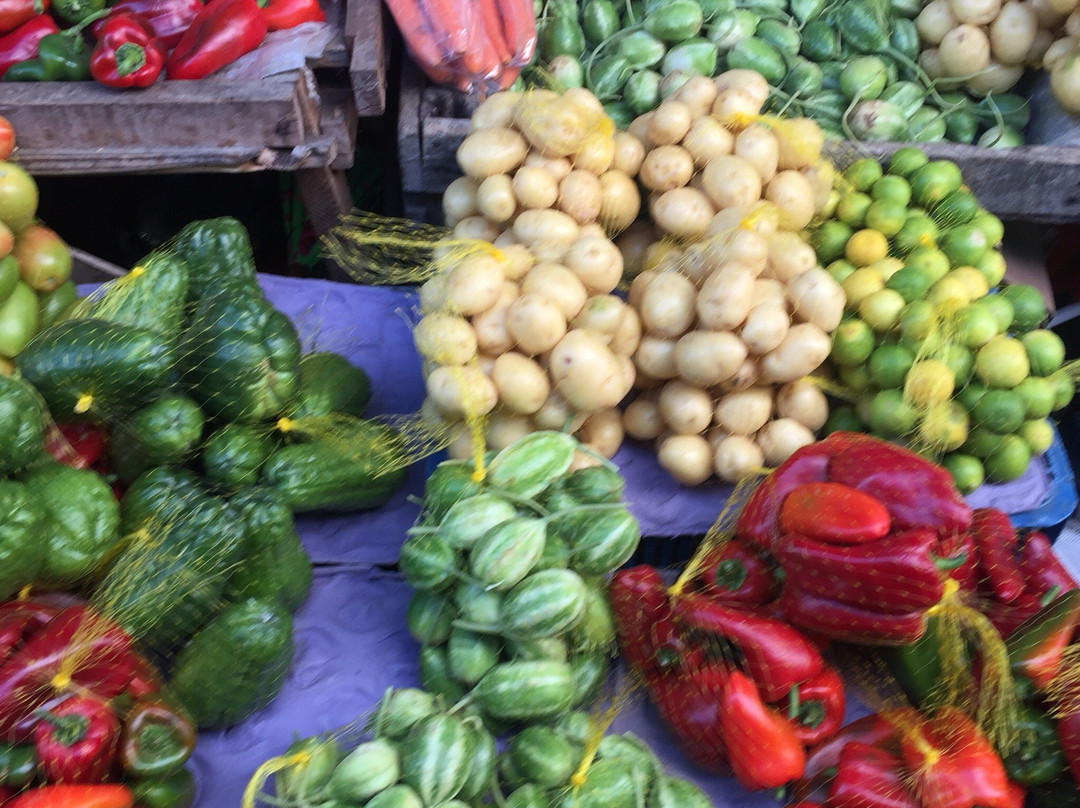 Ceasa-Vitoria da Conquista必去景点