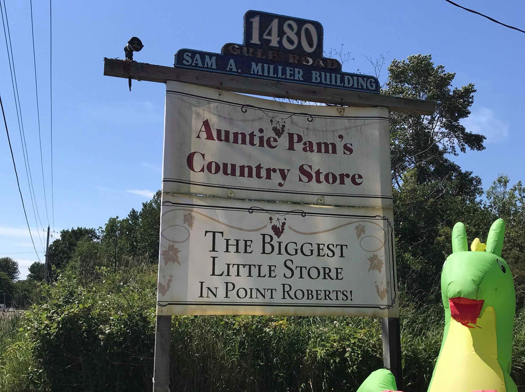 Auntie Pam's Country Store景点图片