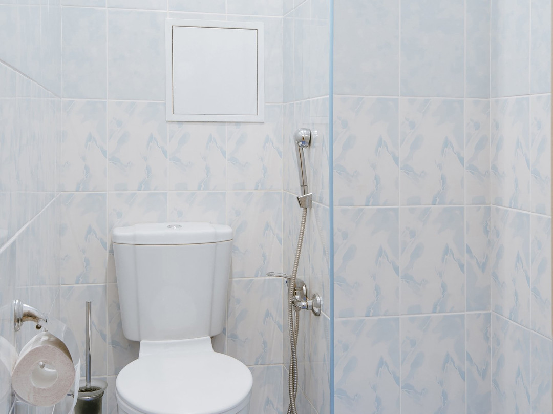 Mini Hotel Levoberezhny主图