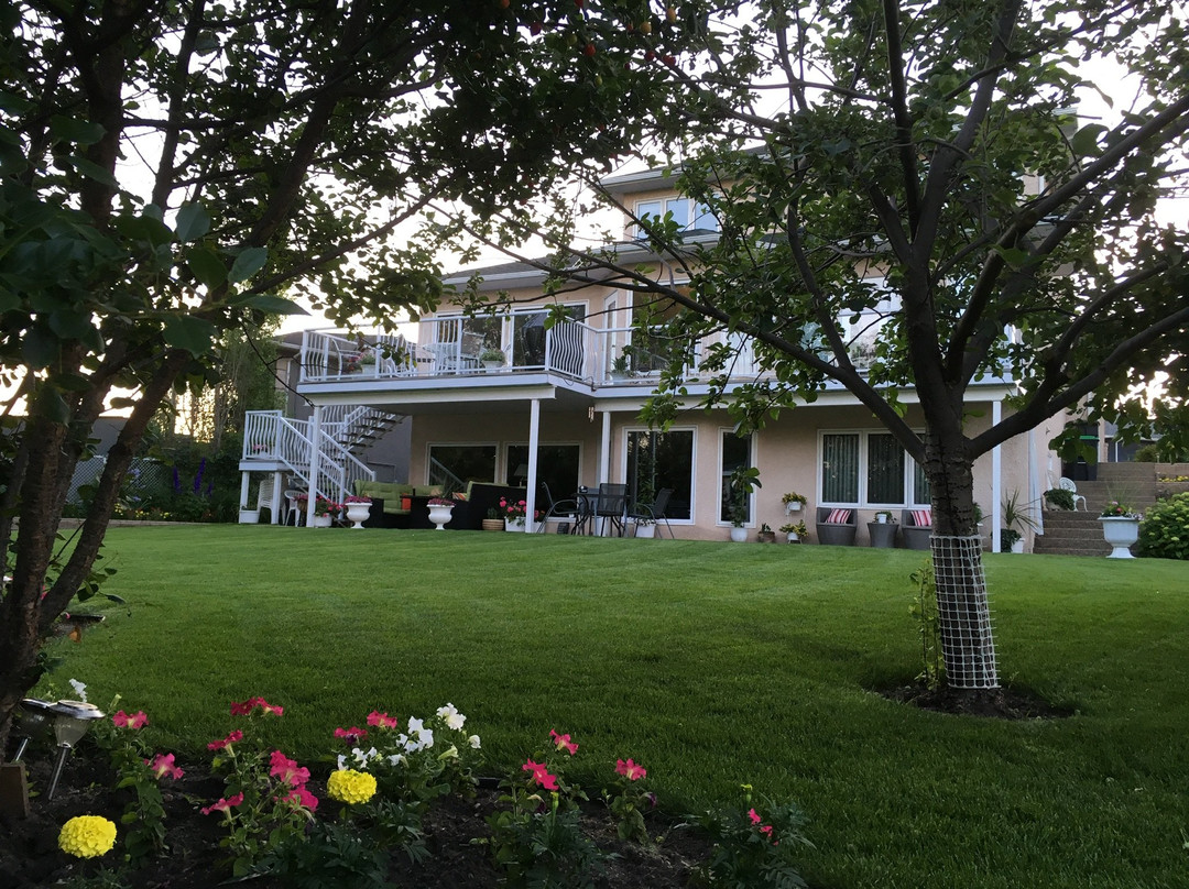 Braeview Bed and Breakfast主图