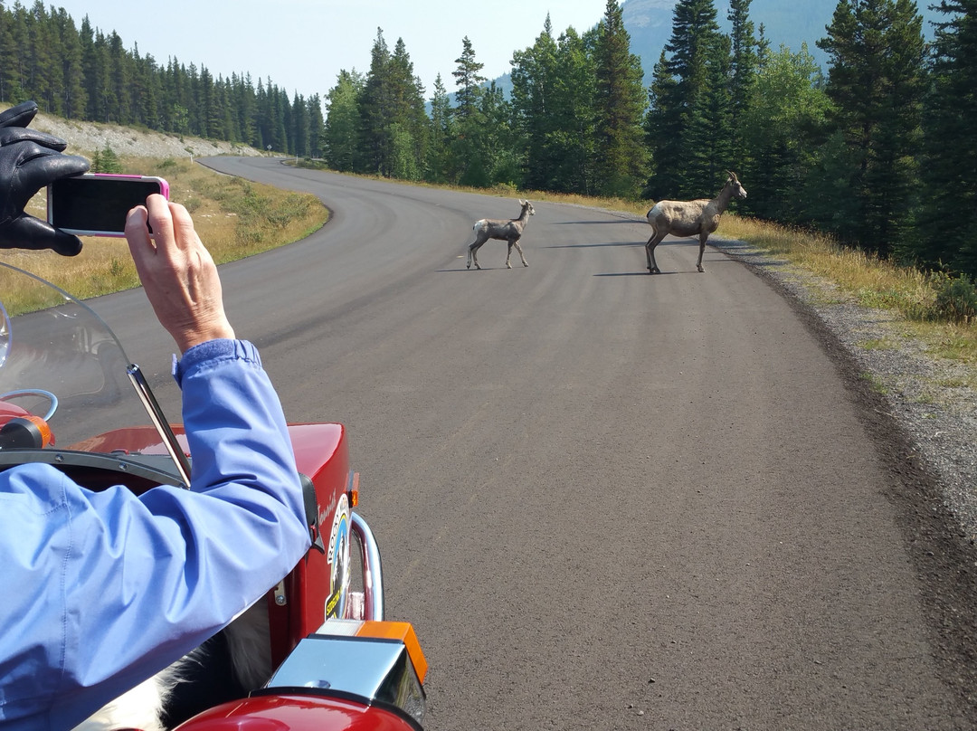 Rocky Mountain Sidecar Adventures景点图片