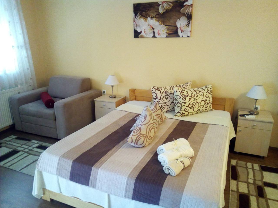 Bed & Breakfast Zmajevo Gnezdo 021主图