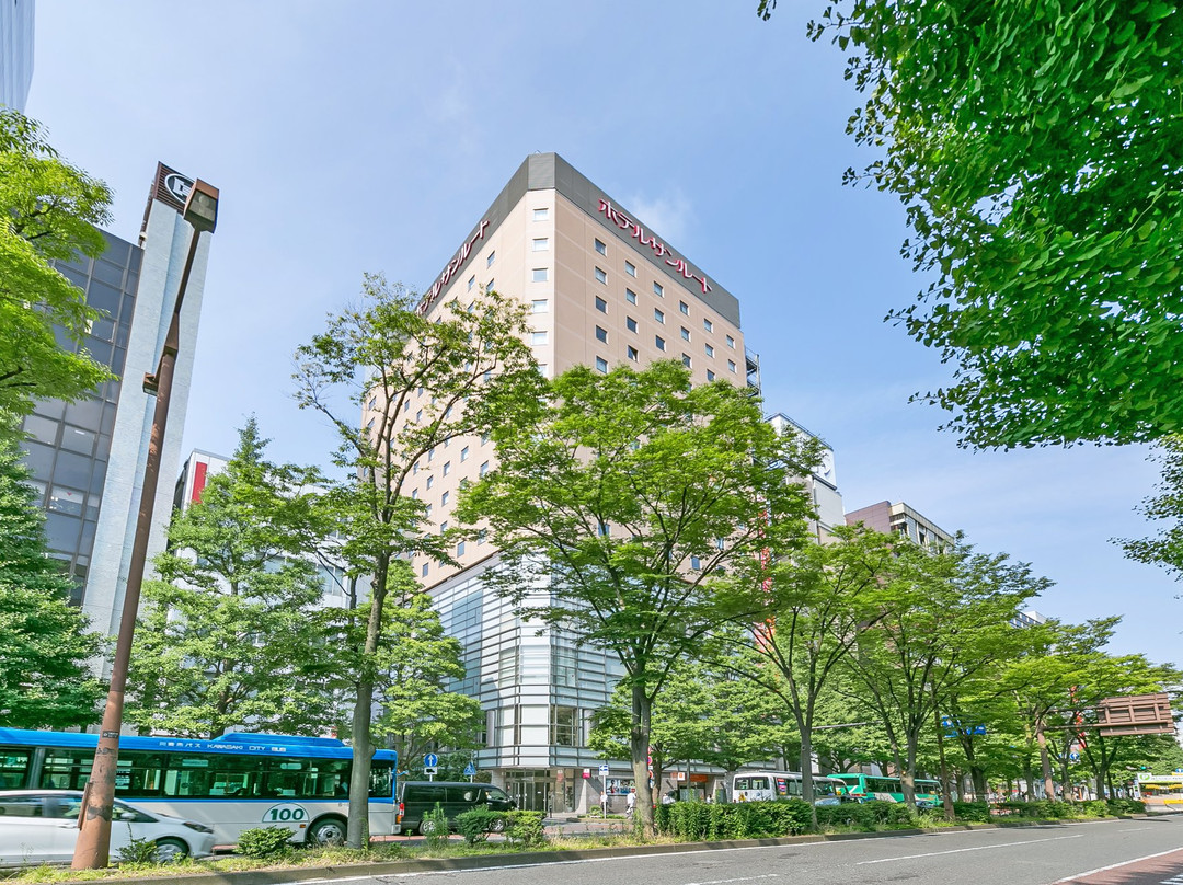 相鐵Fresa Inn 川崎站東口主图