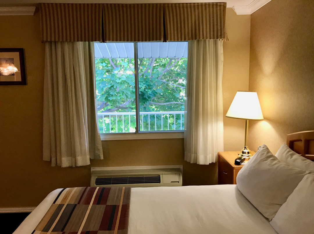 Best Western Inn At Penticton主图