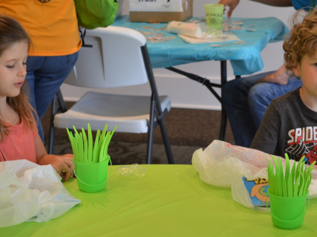 Albany Museum of Art-奥尔巴尼必去景点