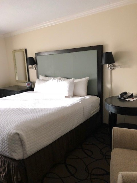 波士顿纳蒂克皇冠假日酒店主图