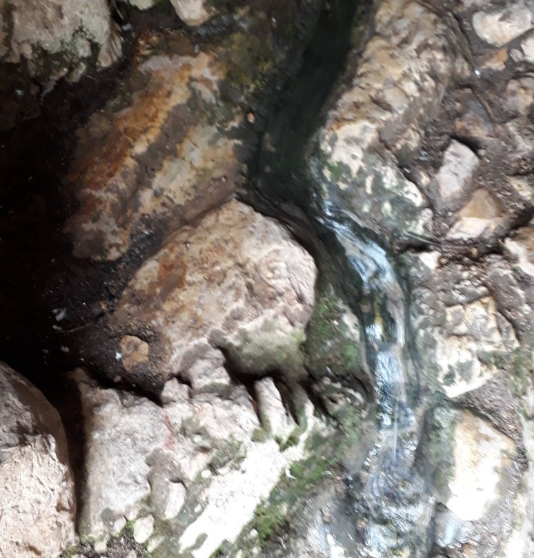 Sataf Nature Trail-耶路撒冷必去景点