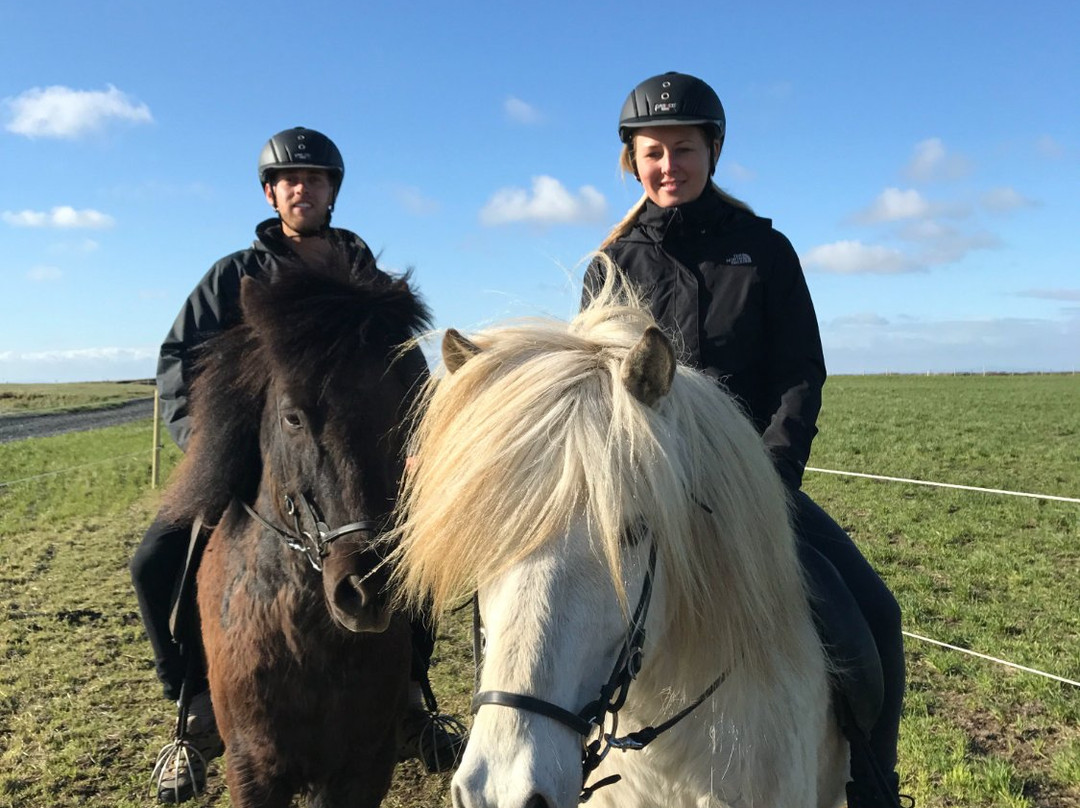 Horseridingtours.is-霍尔斯沃德吕尔镇必去景点