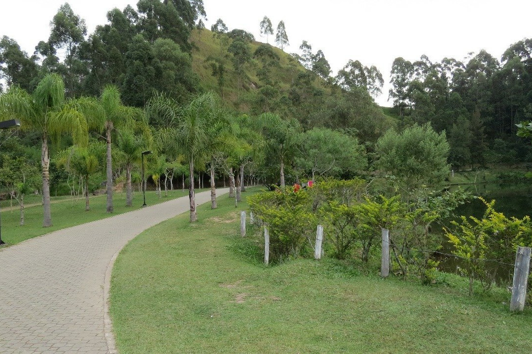 Parque do Lago Francisco Rizzo景点图片