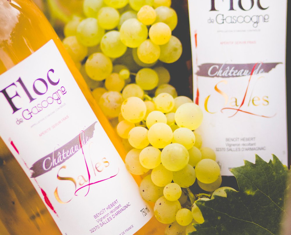 Chateau de Salles-Salles-d'Armagnac必去景点