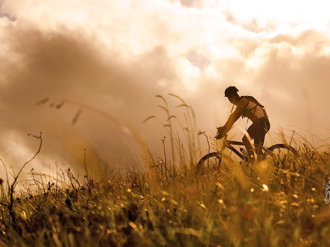 Like eBike景点图片