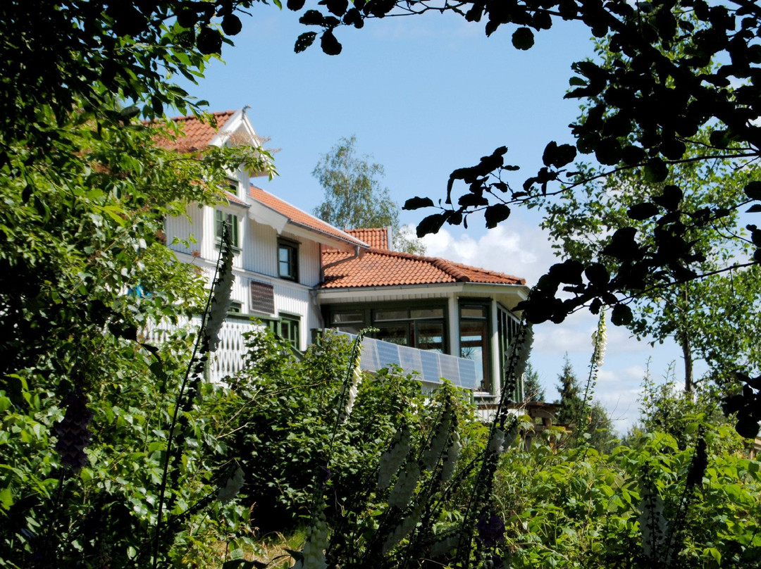 Tingvall Eco Lodge主图