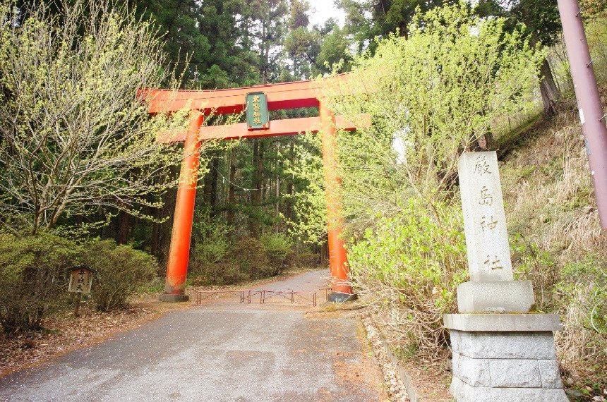 Nagusa Itsukushima Shrine景点图片