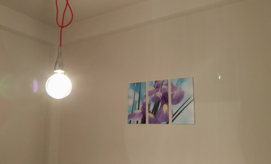 Il Fiore in una Stanza主图