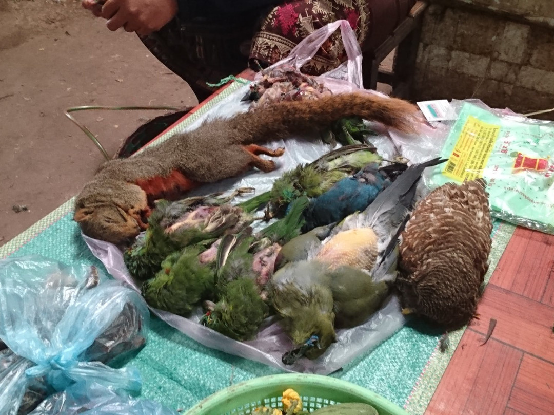 Salavan Market-沙拉湾必去景点