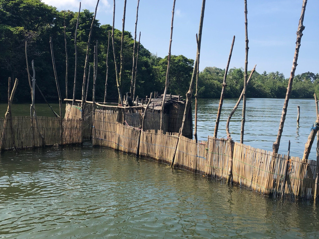 Nilwala River Safari-巴拉碧提雅必去景点