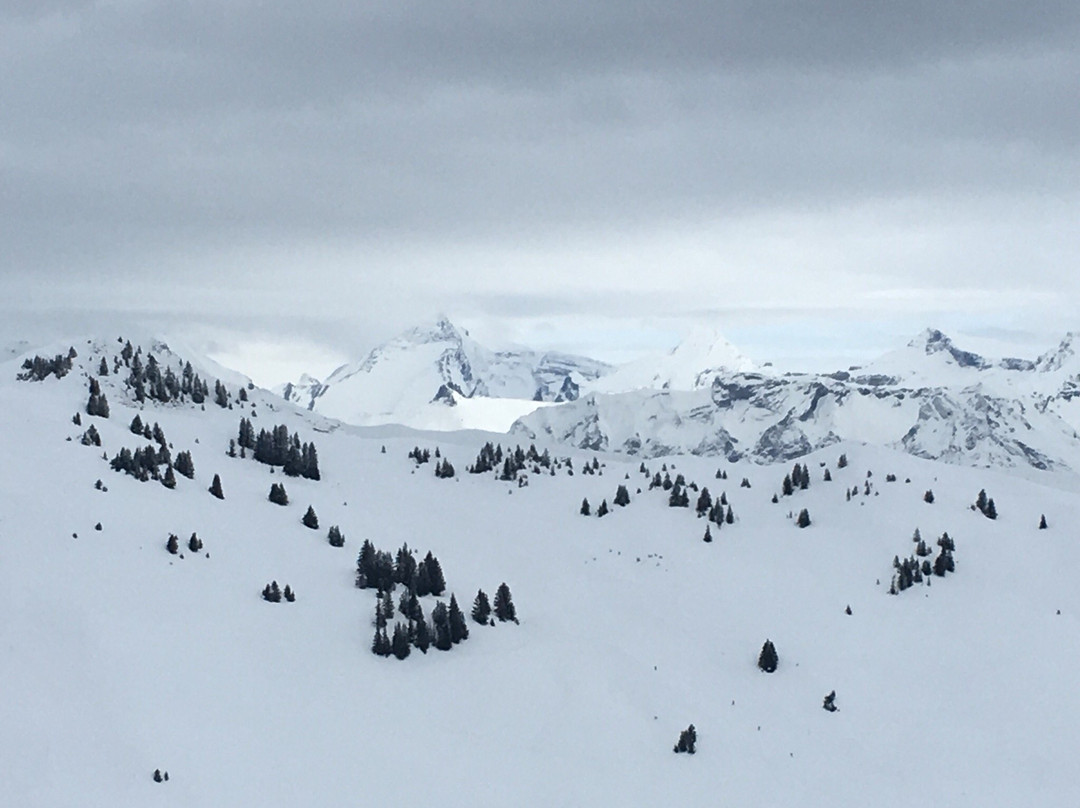 Alpinzentrum Gstaad