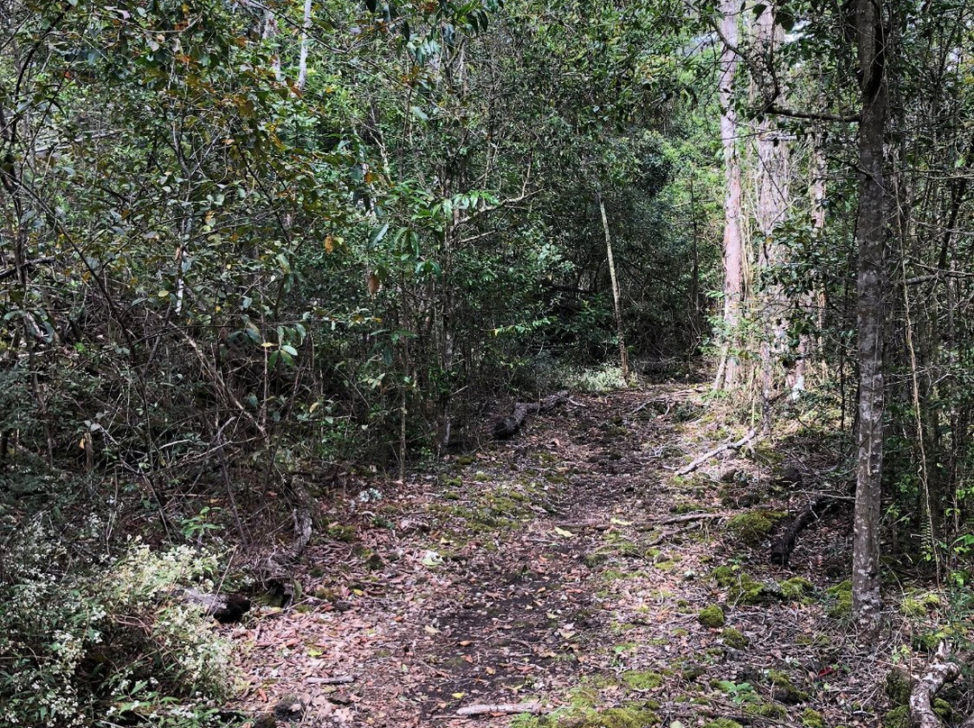 Manuka State Wayside Park-纳勒胡必去景点