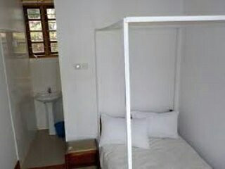 Kilimanjaro Safaris Lodge主图