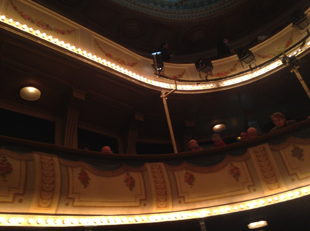 Theatre de Vienne景点图片