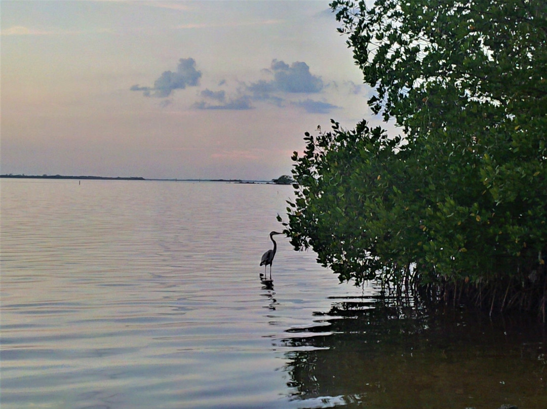 Great Calusa Blueway景点图片