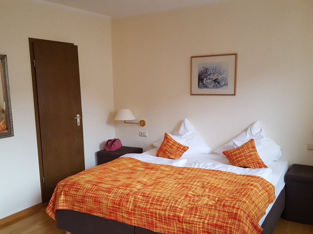 Hotel Alte Muhle主图