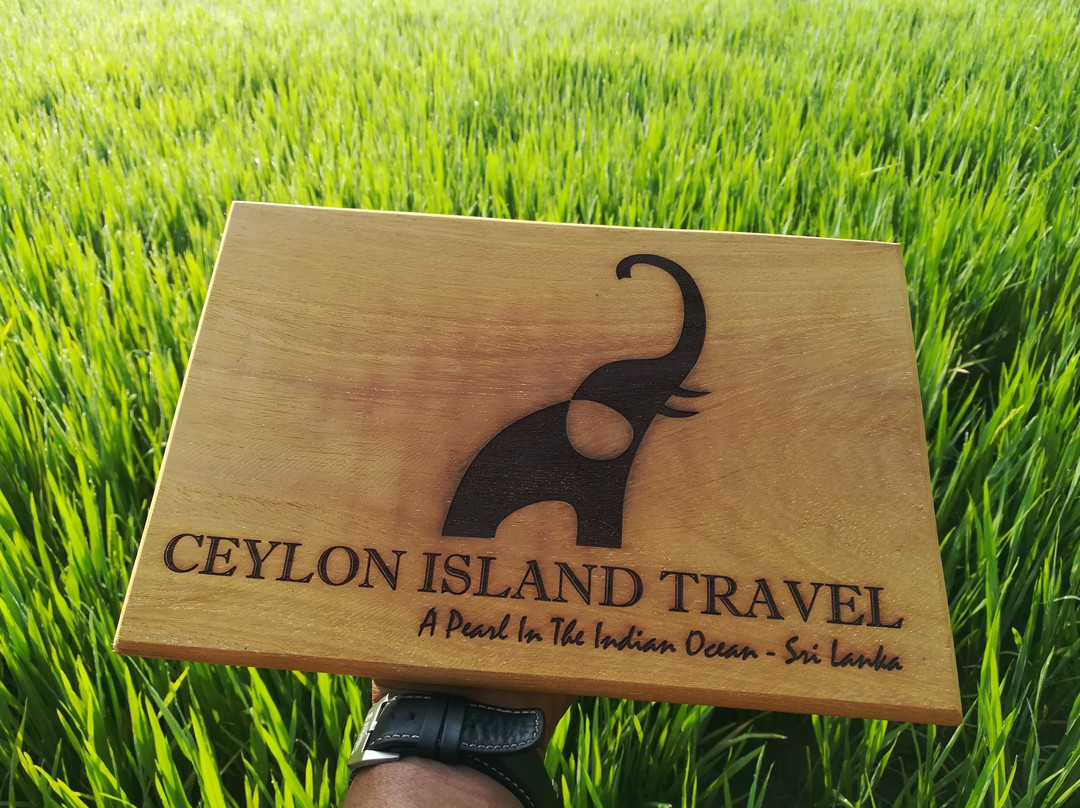 Ceylon Island Travel景点图片
