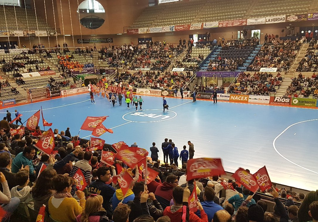 Monteagudo旅游景点-Palacio de Deportes de Murcia