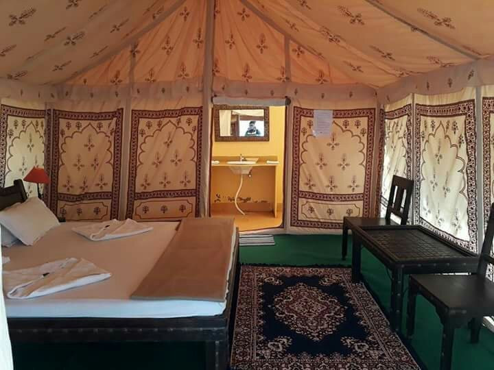 David Desert Camp主图