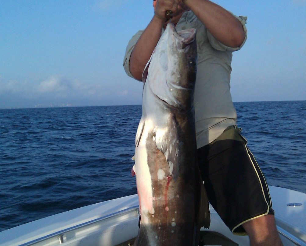 Jack M Up Fishing-华尔顿堡滩必去景点