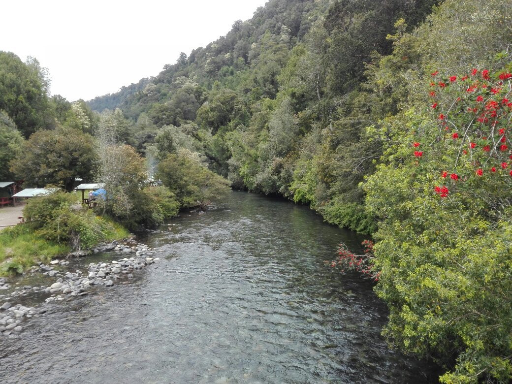 Puyehue旅游攻略图片