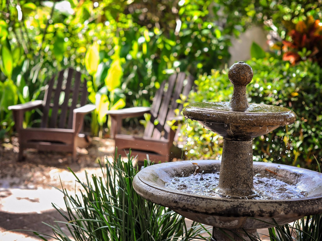 Sanibel Moorings Botanical Garden Tours景点图片
