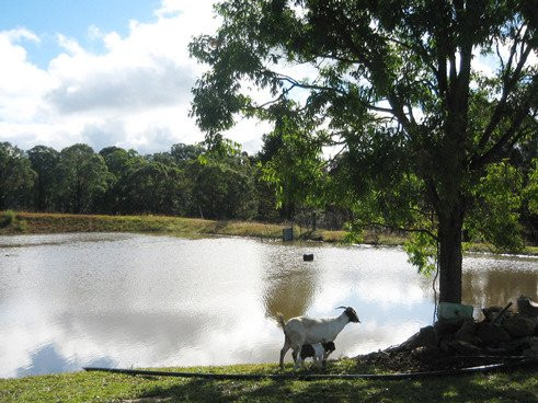 Herbicos Lavender Farm-Thirlmere必去景点