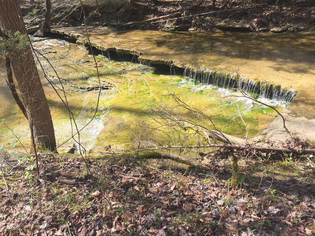 The Parklands of Floyds Fork-路易斯维尔必去景点