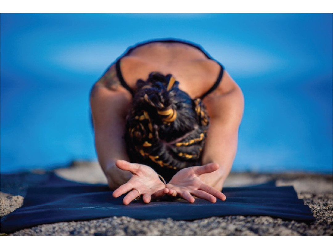 Rooted Flight-海库必去景点