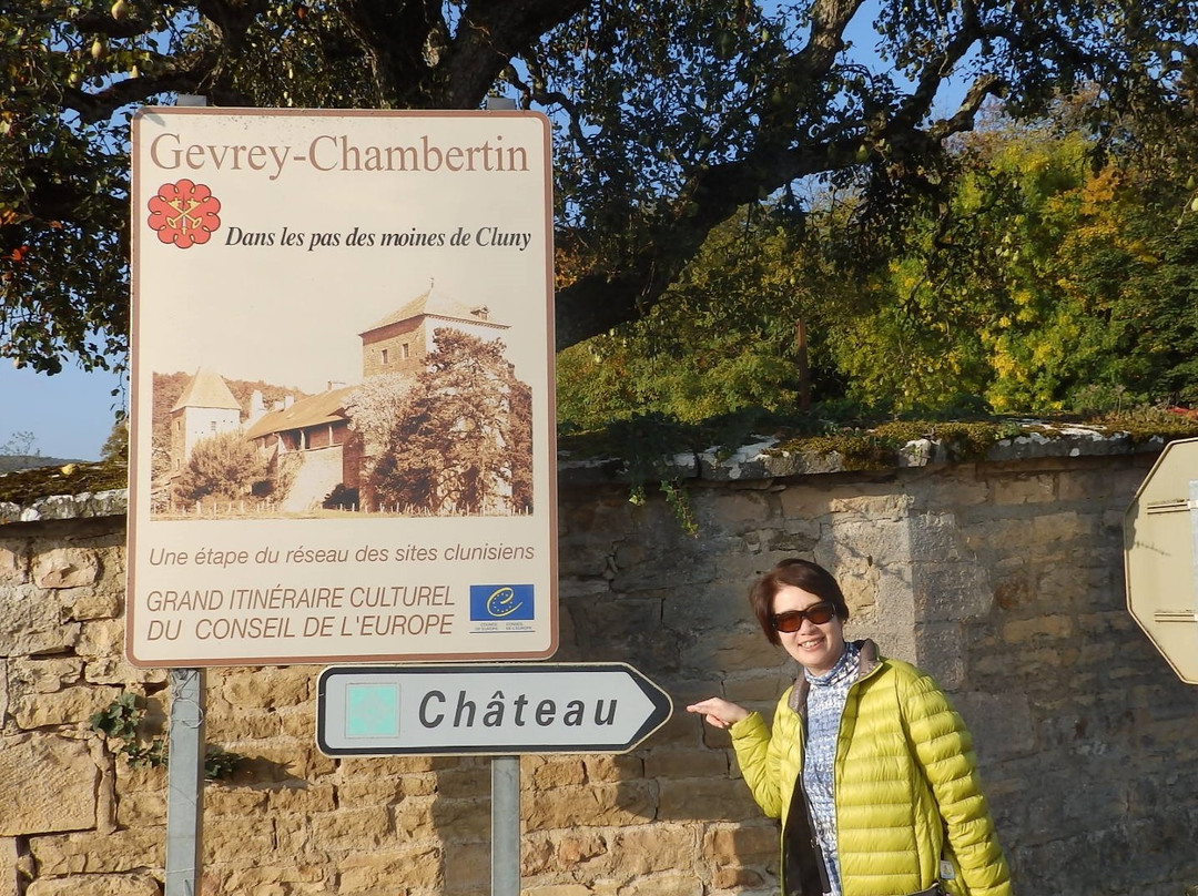 Domaine Armand Rousseau景点图片