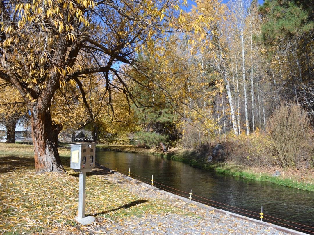 Klamath Fish Hatchery-克拉马斯福尔斯必去景点